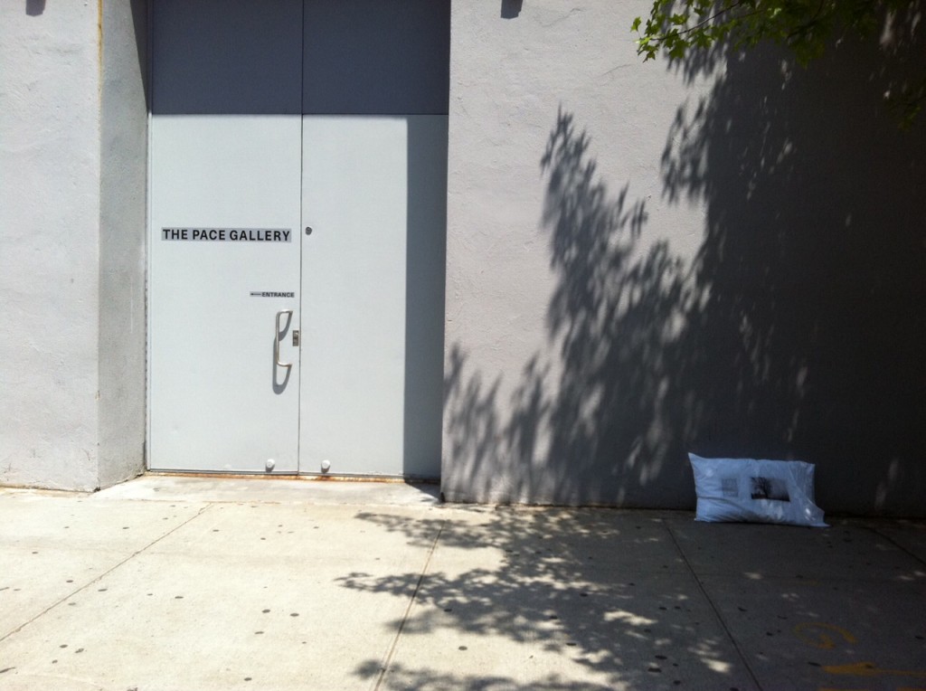 6/10 - Pace Gallery 545 W 22nd St. New York, NY 10011