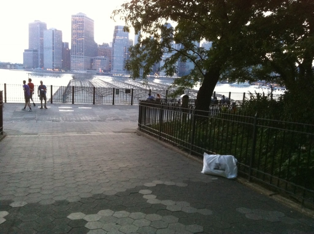 2/10 - Brooklyn Heights Promenade Clark St. and Columbia Heights Brooklyn, NY 11201